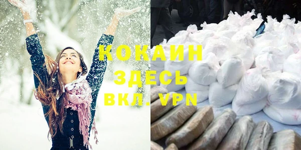 дурь Пересвет